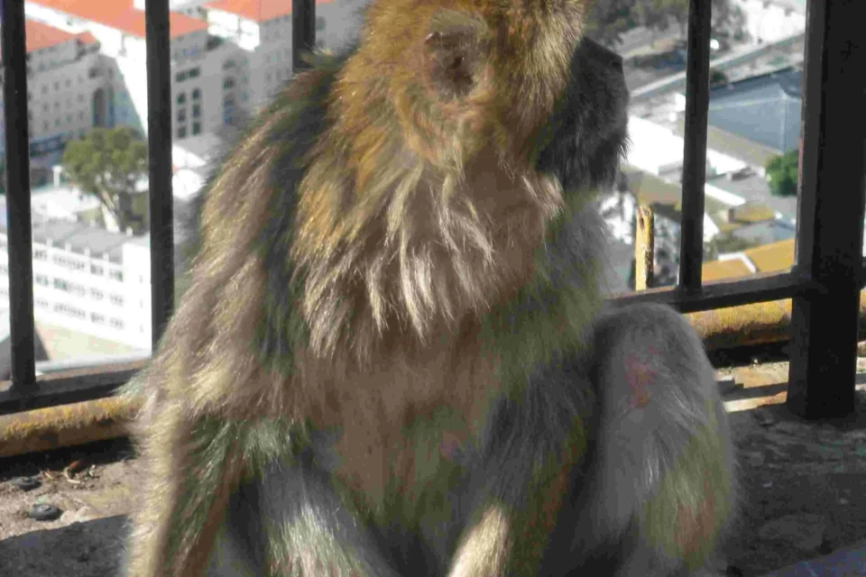 DSCN1269 c 960x640